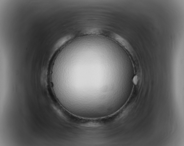 X0000086110578200703301239