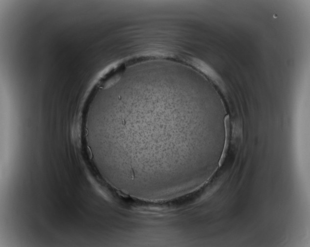 X0000086110580200703301239