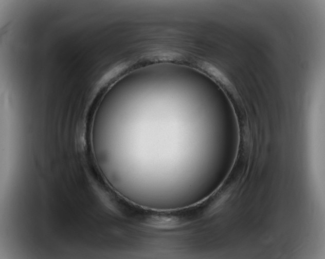 X0000086110582200703301238