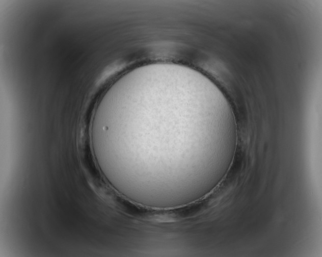 X0000086110583200703301238