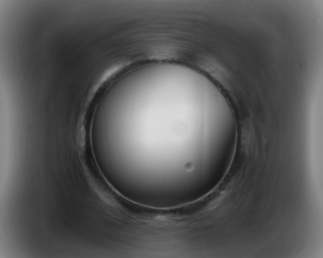 X0000086110584200703301238