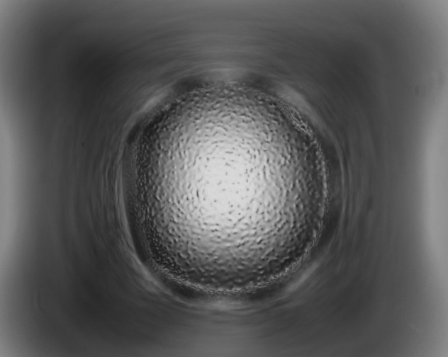 X0000086110585200703301238