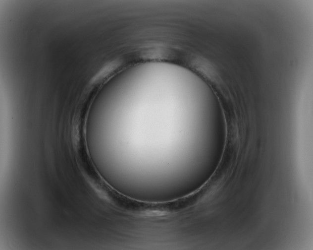 X0000086110586200703301238