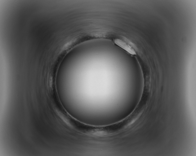 X0000086110589200703301238