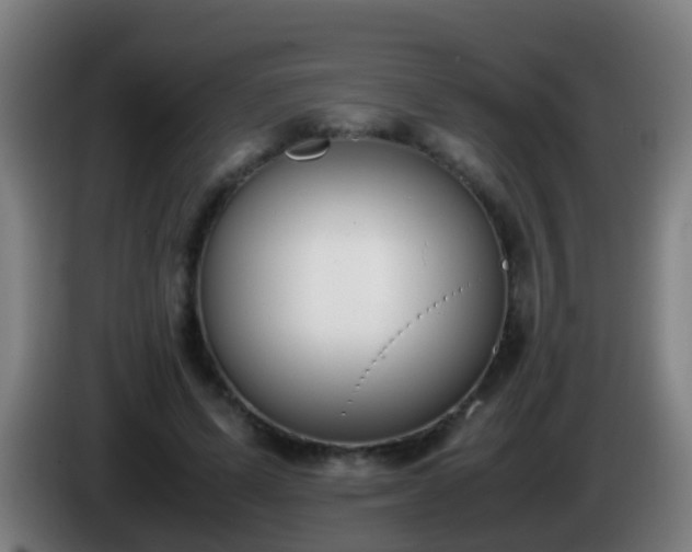 X0000086110591200703301238