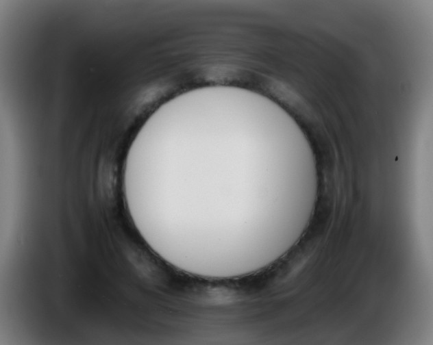 X0000086110592200703301238