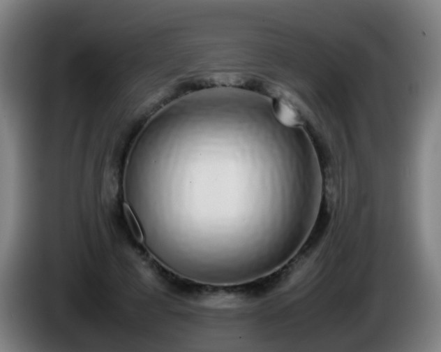 X0000086110593200703301238