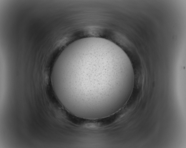 X0000086110595200703301238