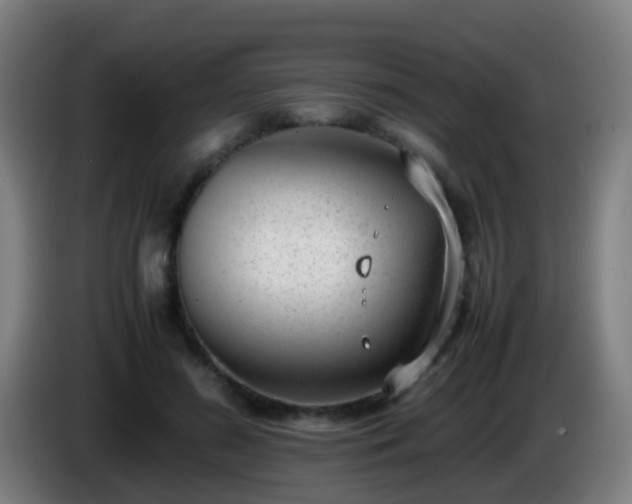 X0000086110596200703301238