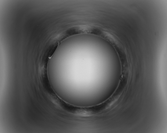 X0000086110597200703301238