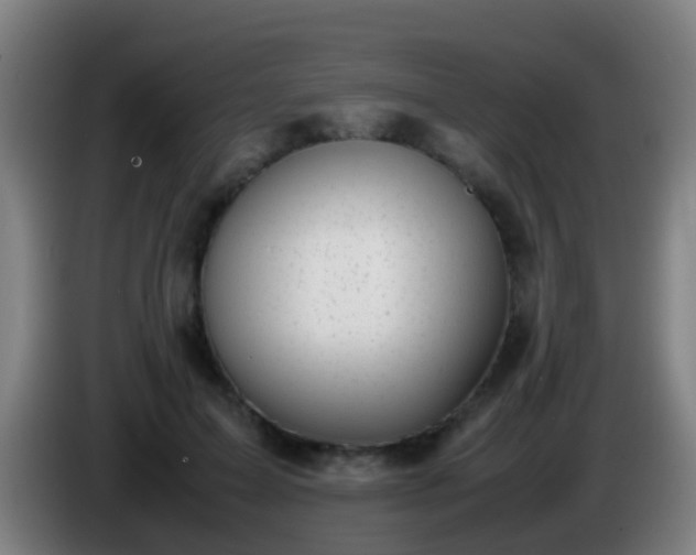 X0000086110599200703301238