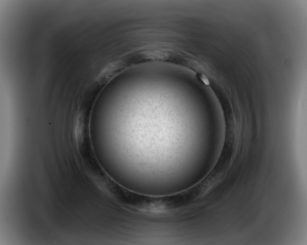 X0000086110600200703301238