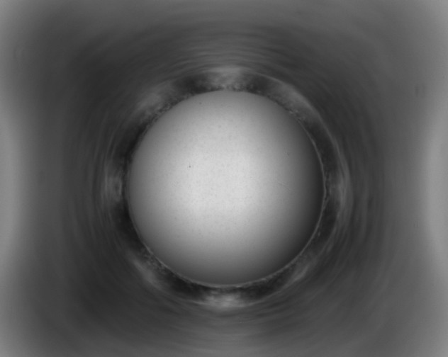 X0000086110602200703301238