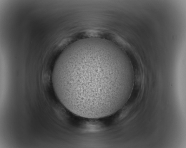 X0000086110603200703301238