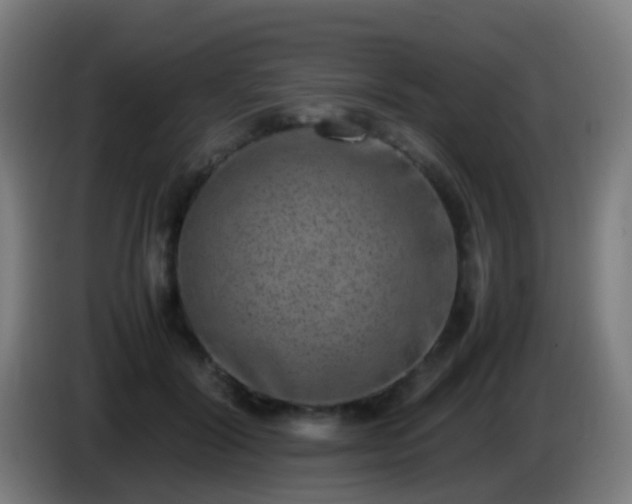 X0000086110604200703301238