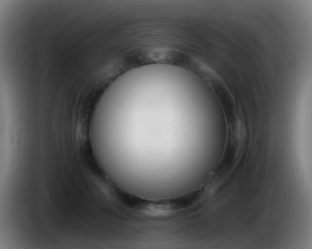 X0000086110606200703301238