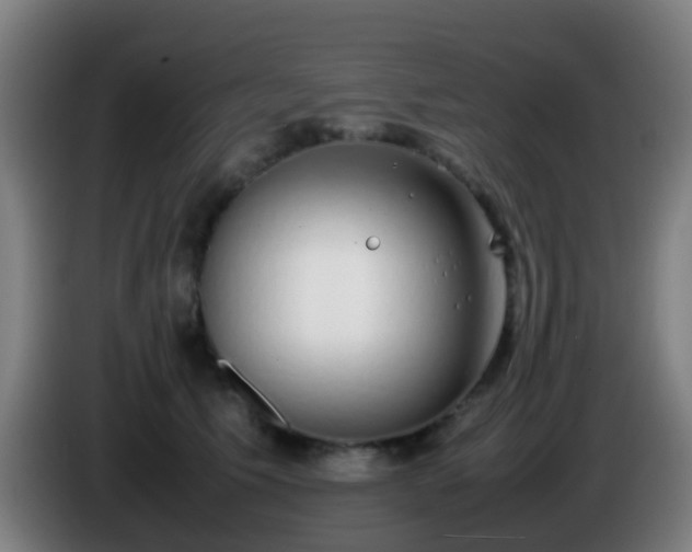 X0000086110609200703301238