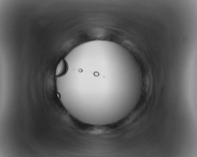 X0000086110612200703301238