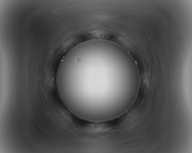 X0000086110615200703301238