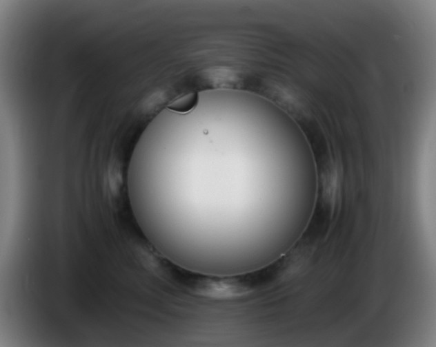 X0000086110618200703301238