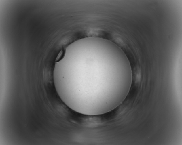 X0000086110619200703301238