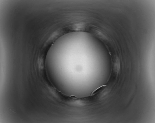 X0000086110620200703301238