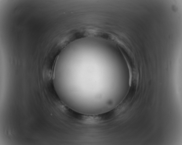 X0000086110621200703301238