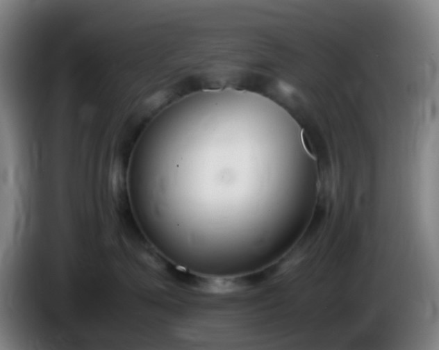 X0000086110623200703301238