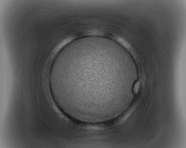 X0000086110625200703301237