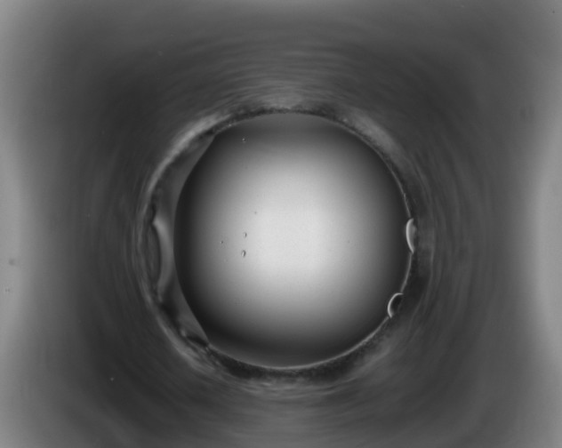 X0000086110626200703301237