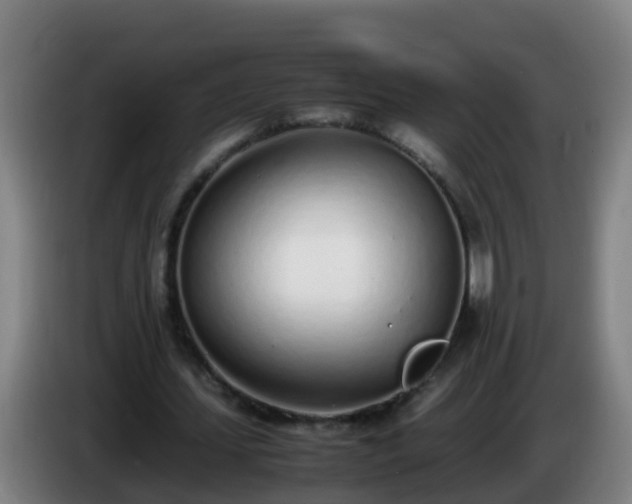 X0000086110627200703301237