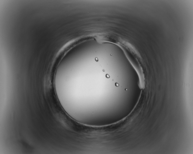 X0000086110628200703301237