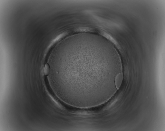 X0000086110629200703301237