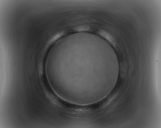 X0000086110631200703301237