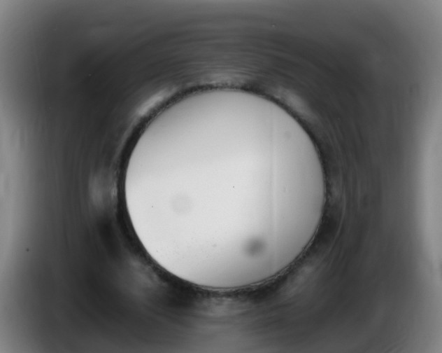 X0000086110632200703301237