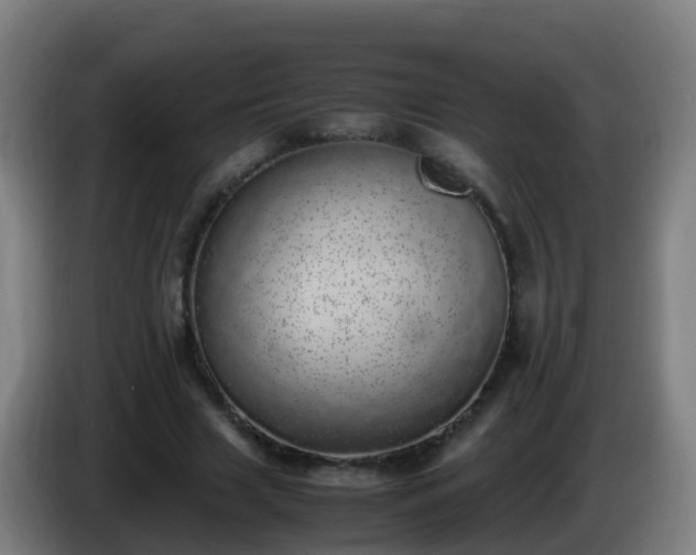 X0000086110633200703301237