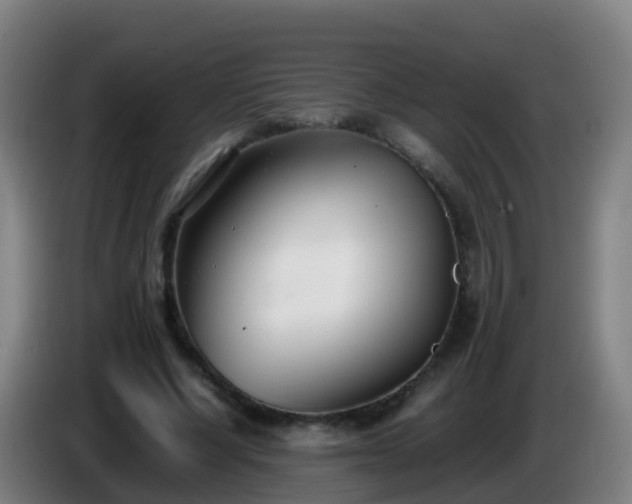 X0000086110634200703301237