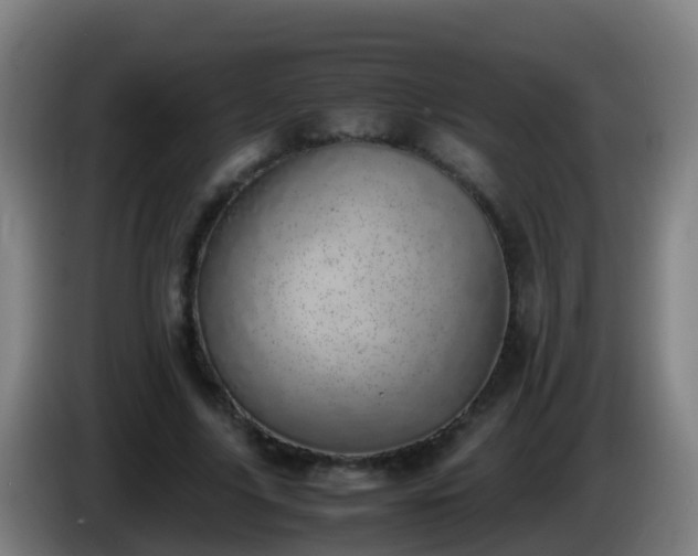 X0000086110635200703301237