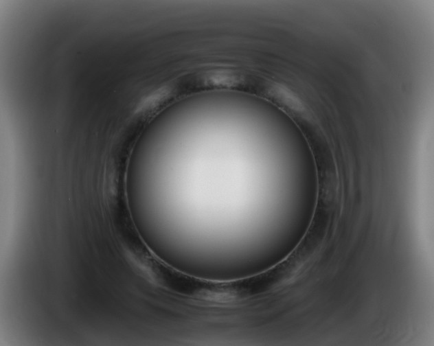 X0000086110639200703301237