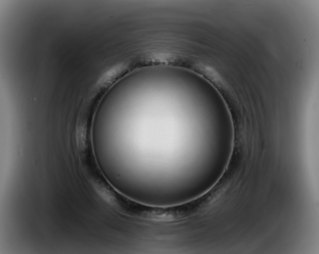 X0000086110640200703301237