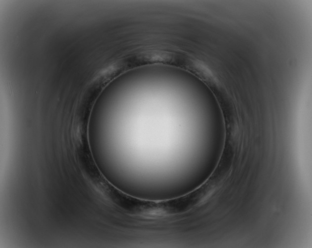 X0000086110643200703301237