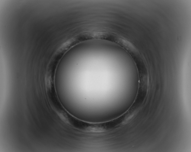 X0000086110644200703301237