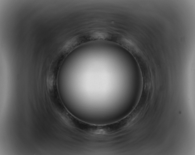 X0000086110647200703301238