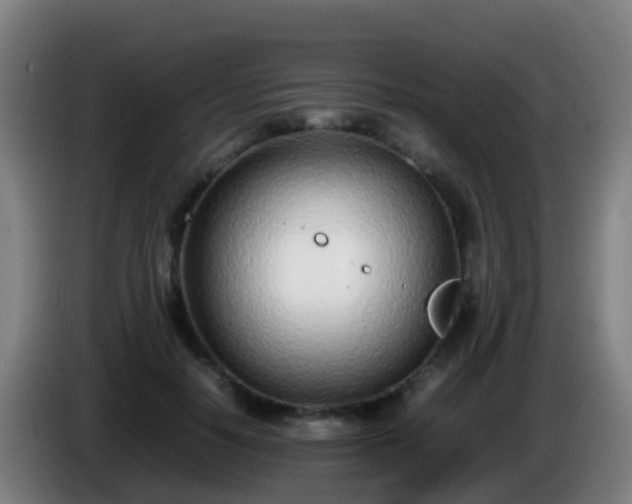 X0000086110650200703301238