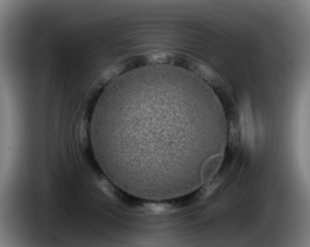 X0000086110654200703301238