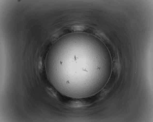 X0000086110655200703301238