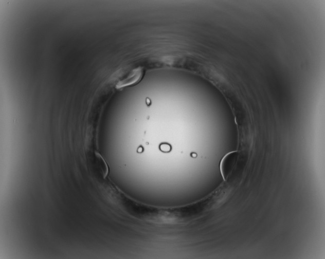 X0000086110656200703301238