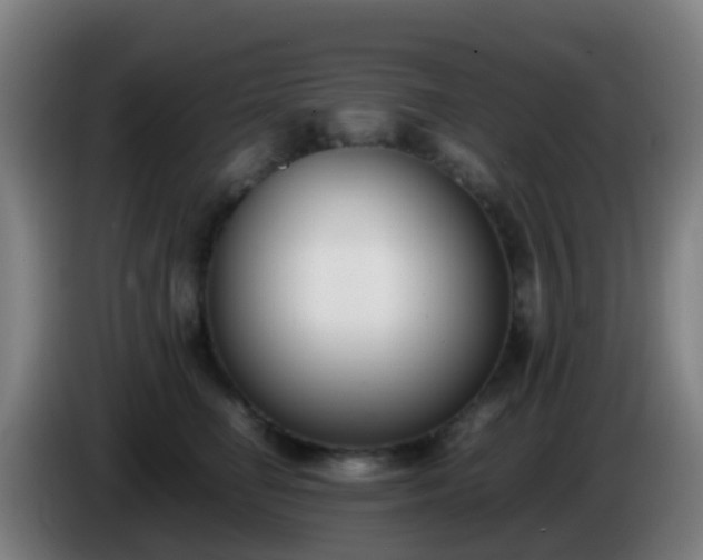 X0000086110662200703301238