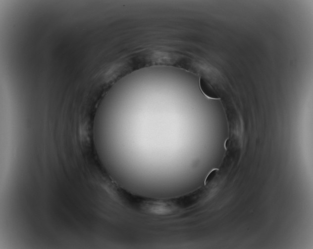 X0000086110663200703301238