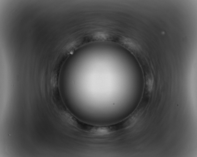 X0000086110665200703301238